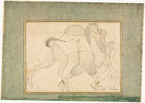 ऊंट और दूल्हे, सिंगल पेज इलस्ट्रेशन, सी। 1545-1576। द्वारा शेख मुहम्मद