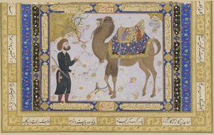 ऊंट और कीपर, सफ़वीद अवधि, 1556-57 (स्याही, कागज पर अपारदर्शी wc और सोना)