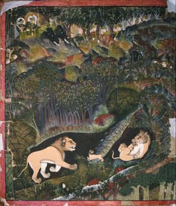  द्वारा शेख ताजू