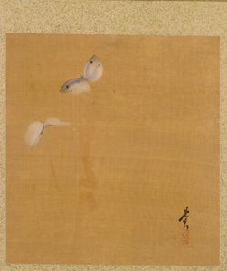 सीज़ल थीम के एल्बम से लीफ: मेपल लीव्स एंड फेदर, 1847। द्वारा शिबता ज़ेशिन