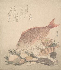 समुद्र के तल पर गोले और काई के बीच बड़ी और छोटी मछलियाँ तैरती हैं, ca. 1830., सीए। 1830.