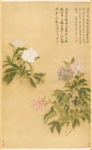 Peonies, हैंगिंग स्क्रॉल