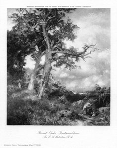 फॉरेस्ट ओक्स, फॉनटेनब्लियू, 1908।