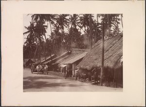  द्वारा Skeen and Co.