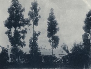 न्यू क्रॉसस गोल्ड माइनिंग कंपनी के पास एक डच फार्म (बी/डब्ल्यू फोटो) द्वारा दक्षिण अफ्रीकी फोटोग्राफर