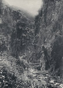 तीर्थयात्रियों के विश्राम के पास का दृश्य (b/w फोटो) द्वारा दक्षिण अफ्रीकी फोटोग्राफर