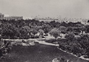 Cadiz: Parque Genoves (b/w फोटो) द्वारा स्पैनिश फोटोग्राफर
