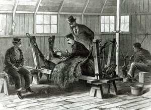 बछड़े से वायरस लेना, 1872 में &39;हार्पर वीकली&39; से दृष्टांत द्वारा स्टेनली फॉक्स