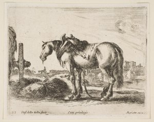 प्लेट 22: गाड़ी घोड़ा, विभिन्न जानवरों से, विविध एनिमली, सीए। 1641। द्वारा स्टेफानो डेला बेला
