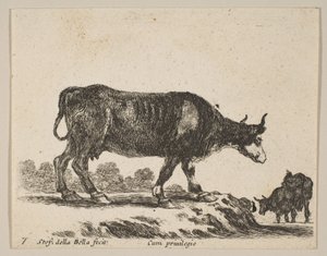 प्लेट Plate: गाय, विभिन्न जानवरों से विविध विविधली, सी.ओ. 1641। द्वारा स्टेफानो डेला बेला