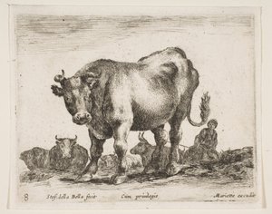 प्लेट 8: गाय, विभिन्न जानवरों से विविध वैसाली, ca. 1641। द्वारा स्टेफानो डेला बेला