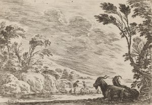 दो बकरियां लेटी हुई, 1642। द्वारा स्टेफानो डेला बेला