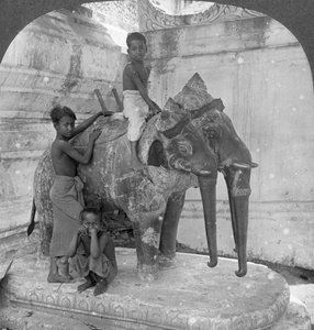 तीन प्रमुख हाथी अभयारण्य, अरकान पगोडा, मंडालय, बर्मा, 1908 की रखवाली करते हैं।