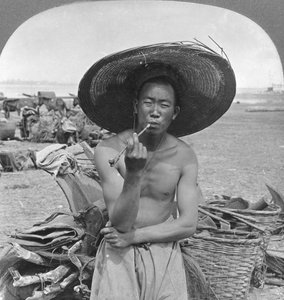ठेठ चाइनामैन, भामो, बर्मा, 1908