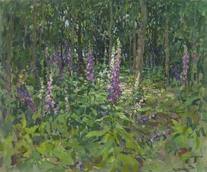 Foxgloves