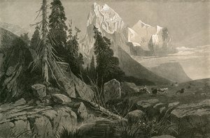 वेलहॉर्न और वेटरहॉर्न द्वारा स्विस स्कूल