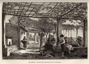 विला मेंटन, टेलर की ड्राइंग के बाद उत्कीर्णन, 1871 में मेंटन और बोर्डीहेरा की यात्रा का चित्रण, एडोल्फ जोआन द्वारा, "ले टूर डू मोंडे" 1874 में प्रकाशित, एडौर्ड चार्टन, हैचेट संस्करण, पेरिस द्वारा संपादित। सेल्वा संग्रह। द्वारा टी टेलर