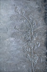एक गुलदाउदी, फूल और पत्तियों के साथ उत्कीर्ण स्टील, 618-907 (पत्थर) द्वारा तांग राजवंश चीनी स्कूल