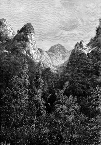 मेडिरा, पुर्तगाल, 1895।