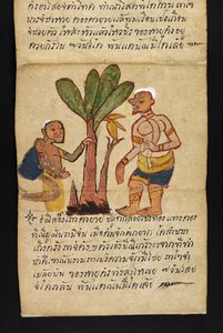  द्वारा थाई स्कूल