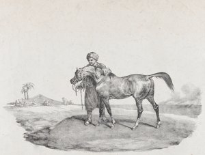 एक अरबी घोड़ा, 1821 द्वारा चार्ल्स जोसेफ हुलमंडेल