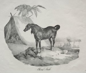  द्वारा गिहाउत