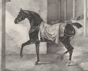 1822 में एक अस्तबल में काला घोड़ा बंधे। द्वारा थियोडोर गेरिकौल्ट
