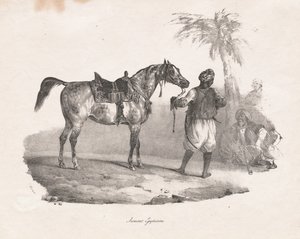  द्वारा थियोडोर गेरिकौल्ट