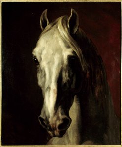 सफेद घोड़े का सिर। थियोडोर गेरिकॉल्ट द्वारा पेंटिंग (1791-1824) द्वारा थियोडोर गेरिकौल्ट