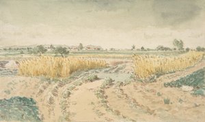 व्हीटफील्ड्स, 1865।