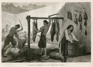 1874 में चार्ल्स द्वारा मोंटेनेग्रो की यात्रा का वर्णन करने के लिए, वैलेरियो द्वारा ड्राइंग, डेलमेटिया (इस्त्रिया और हर्जेगोविन (क्रोएशिया)) में अक्टूबर के अंत में, कैस्ट्राडिना की तैयारी, भेड़ और बकरी के नमकीन और बुकेनी के मांस की विशेषता, चार्ल्स द्वारा  द्वारा थियोडोर वेलेरियो