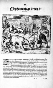 हाथियों की लड़ाई, 1606 द्वारा थियोडोर डी ब्राय