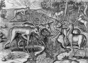 फ्लोरिडा प्रांत में रहने वाले भारतीयों से थियोडोर डी ब्राय (1528-1598) द्वारा उत्कीर्ण, हिरण के रूप में प्रच्छन्न फ्लोरिडा इंडियंस शिकार, जैक्स ले मोयने डे मुर्गेस (1533-1588), फ्रैंकफर्ट एम मेन द्वारा द्वारा थियोडोर डी ब्राय