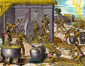 अमेरिका का इतिहास: गन्ना इकट्ठा करना और चीनी बनाना। थिओडोर डी ब्राय द्वारा उत्कीर्णन (१५२८-१५९८) १६वीं शताब्दी का निजी संग्रह द्वारा थियोडोर डी ब्राय