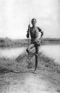 एविंक, सूडान, 1925 1927 में एक विशिष्ट दिनका रवैया, टेराकेका