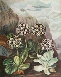 हैंडल, c1802-1821, 1948।