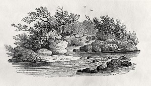 नदी में एक मोड़, 'वाटर बर्ड्स' से, 1804 में प्रकाशित (लकड़ी की नक्काशी) द्वारा थॉमस बेविक