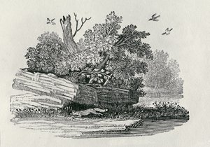 फॉक्स भागने, &39;द जनरल हिस्ट्री ऑफ क्वाड्रुपेड्स&39; से, 1790 प्रकाशित (लकड़ी की नक्काशी) द्वारा थॉमस बेविक