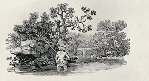 &39;ब्रिटिश बर्ड्स एंड क्वाड्रुपेड्स का इतिहास&39; से एक सामन खेलना द्वारा थॉमस बेविक