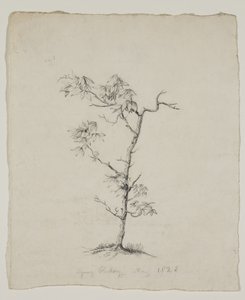  द्वारा Thomas Cole