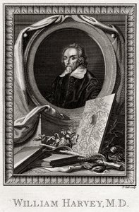 विलियम हार्वे, 1777