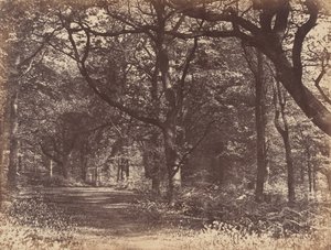 वुड-सीन, नॉर्टन, चेशायर, 1856।