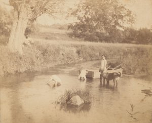 [थ्री चिल्ड्रेन एंड ए डॉग प्लेइंग इन द क्रीक, 4 जुलाई, 1883], 1883, 1883। द्वारा थॉमस एकिंस