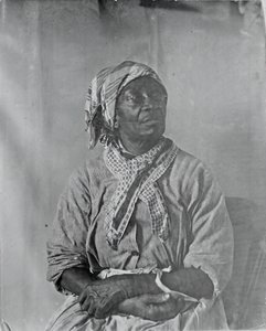अज्ञात सिटर, सी. 1884. द्वारा थॉमस एकिंस