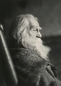 कैमडेन, एनजे में वॉल्ट व्हिटमैन, सी। 1891. द्वारा थॉमस एकिंस