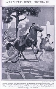  द्वारा थॉमस हीथ रॉबिन्सन