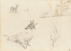 लैंडस्केप और पशु विषयों की स्केचबुक, 1860-64।