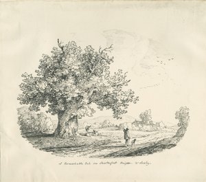 अर्ली - शैटरफोर्ट हाइट: लिथोग्राफ, 1839 द्वारा थॉमस पेप्लो लकड़ी