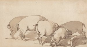 एक गर्त में सूअर, c.1790 (कागज पर पेन और स्याही और भूरे रंग के साथ ग्रेफाइट) द्वारा थॉमस रोलैंड्सन