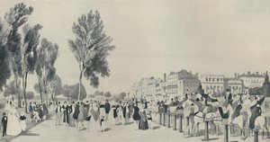 हाइड पार्क, 1842, 1920 में सोसायटी द्वारा थॉमस शॉटर बॉयज़
